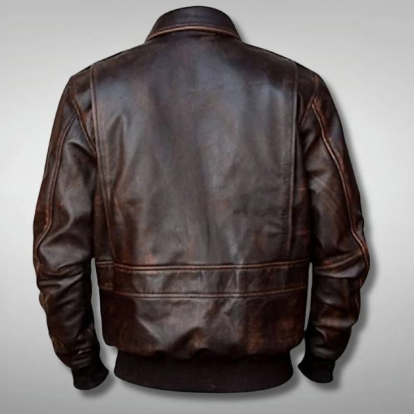 Back View A2 Aviator Flight Jacket