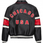 Men-s-Genuine-Leather-Jacket-with-American-Size-French-Lamb-Leather-Embroidery-Autumn-Winter-Classic-Warm.png__2